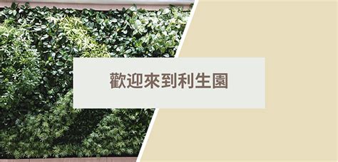 迷你椰子 種植|迷你椰子 – PLANTER PRO LIMITED利生園有限公司